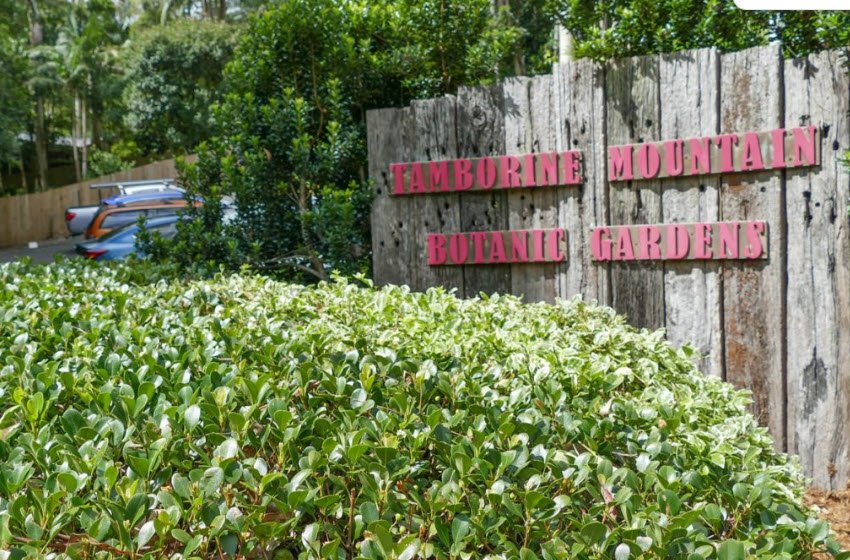 Tamborine Mountain Regional Botanic Gardens, Mount Tamborine, Australia, Australia